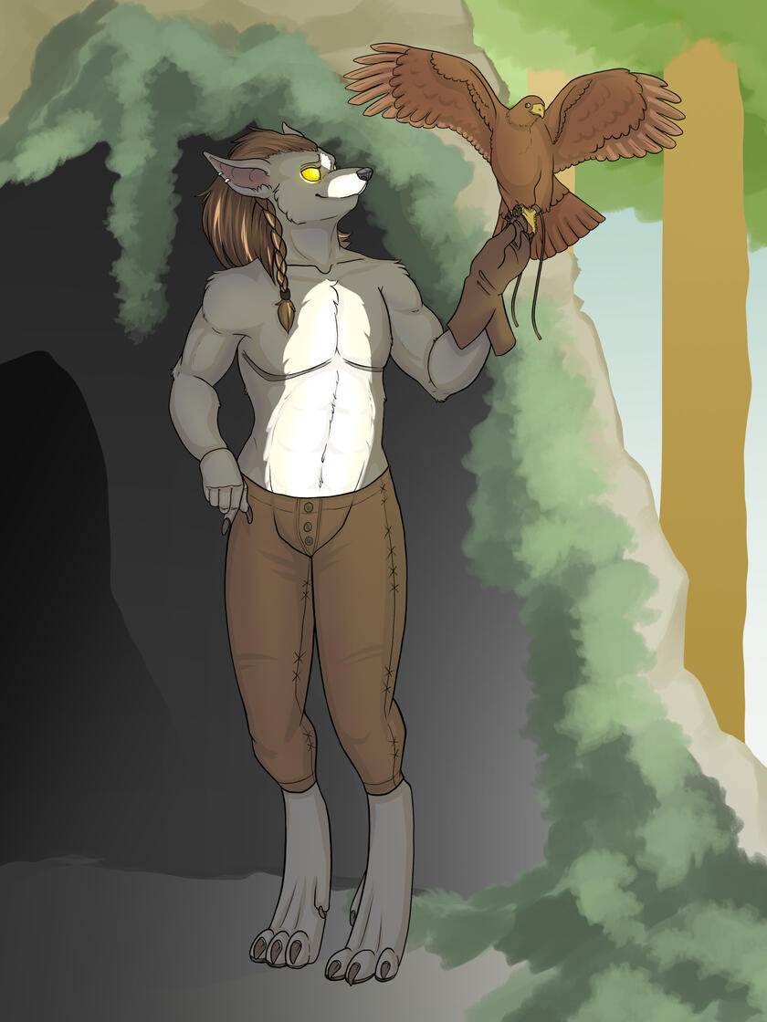 Worgen Falconer